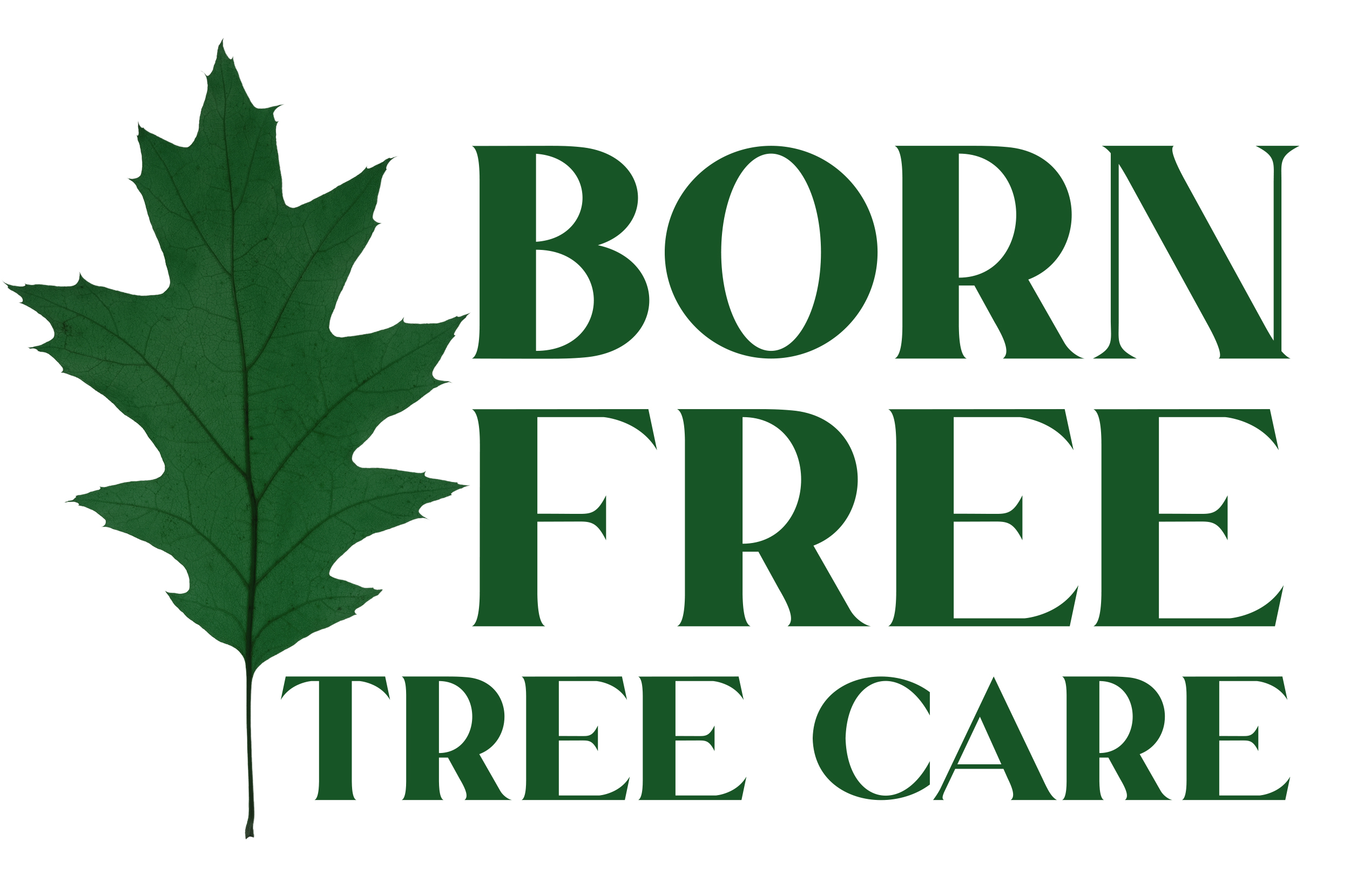 Born Free Tree Care, LLC